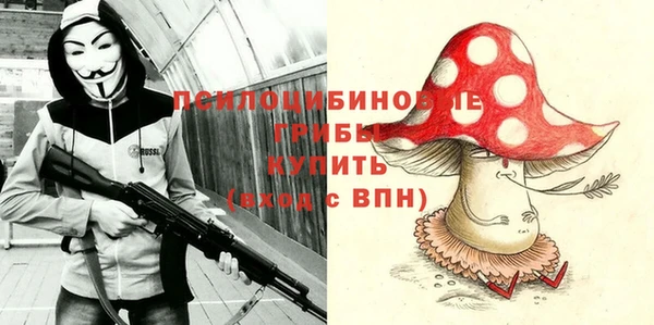PSILOCYBIN Богданович